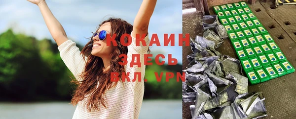 ПСИЛОЦИБИНОВЫЕ ГРИБЫ Алзамай