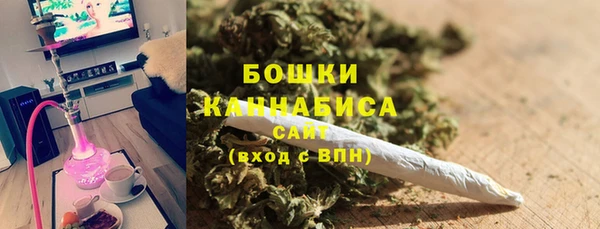 ПСИЛОЦИБИНОВЫЕ ГРИБЫ Алзамай