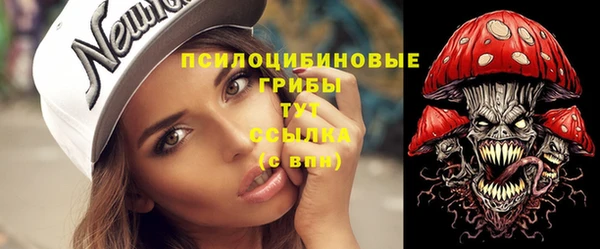 ПСИЛОЦИБИНОВЫЕ ГРИБЫ Алзамай